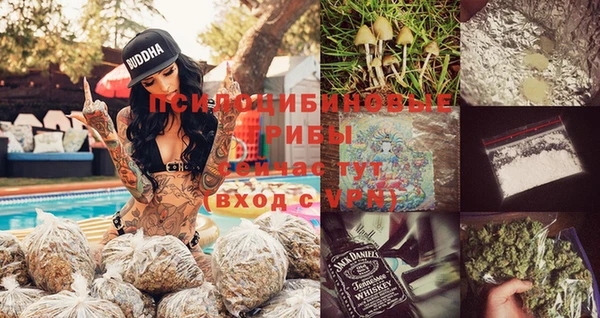 прущие грибы Балахна