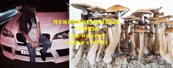 прущие грибы Балахна