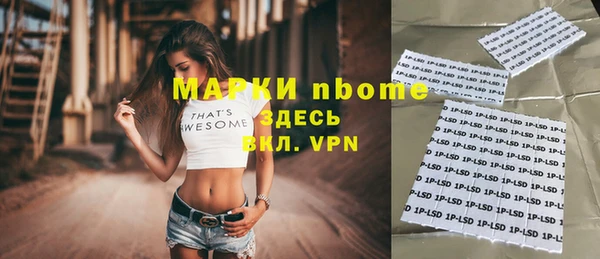 мдпв Богданович
