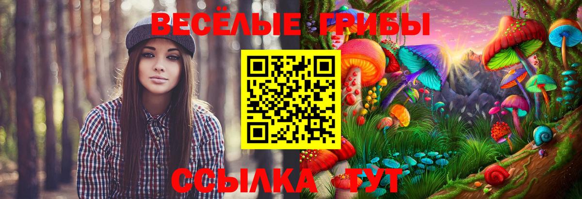 Псилоцибиновые грибы прущие грибы  Вход с VPN  Мытищи 